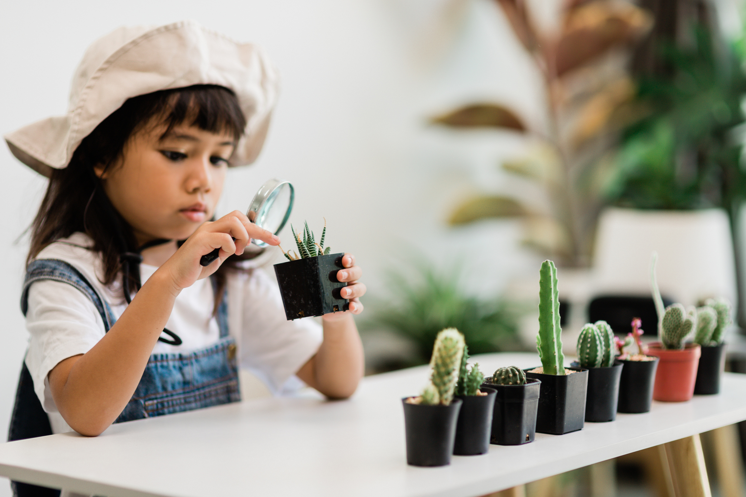 kid gently touch new stem of the cactus he grows with care,